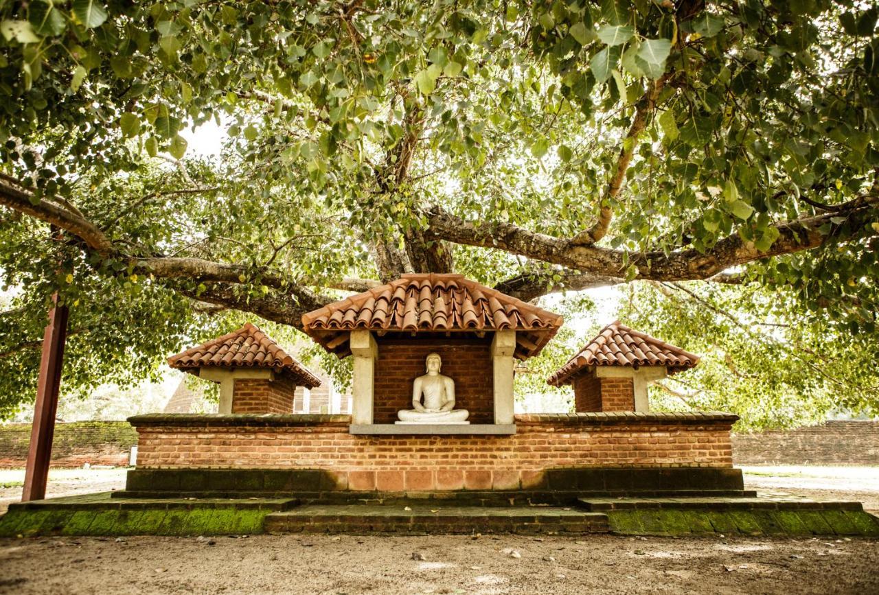 Thaulle Ayurveda Resort - Yala Tissamaharama Exterior foto